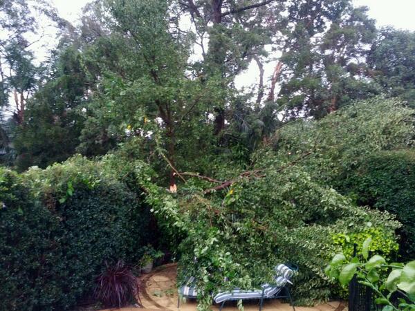 slycurgus's tweet photo. Storm just rolled through #wow #suchdestruction http://t.co/tv7XfKlTRd