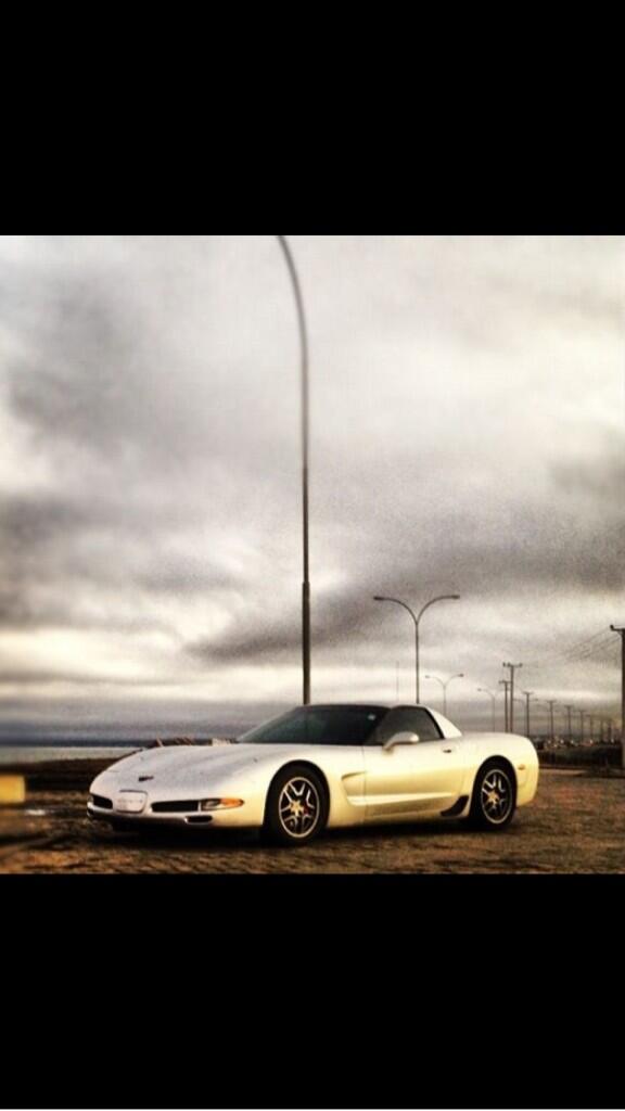 mbarria68's tweet photo. #corvette #c5z06 #puq #puntaarenas #z06 #borla #chile #tsp #Chevrolet http://t.co/o0cMf9rIjr