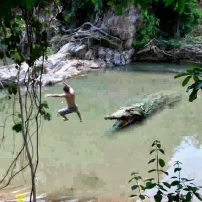WolFIRmaN's tweet photo. Kasian kan ya om buaya nya di kejutin gtu.. ish..ish..ish.. krjaan manusia ada2 saja jahilnya. http://t.co/cLRlHhotW0