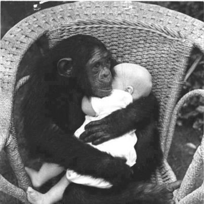 عمار حزام tweet media