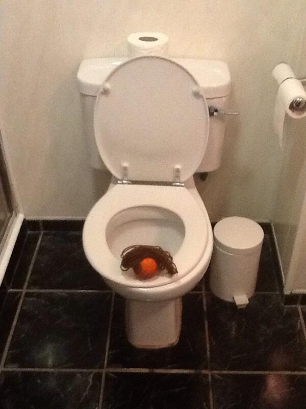 “<a href="/mrwilliamorange/">William the Orange</a>: No caption for this picture - I don't do toilet humour. ”I would say "you look a little flushed".