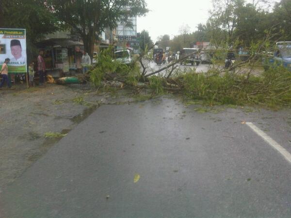 Inilah foto yg admin ambil saat melintas di Ujung Bandar dkt kantor bupati, sebatang pohon tumbang #rantoku