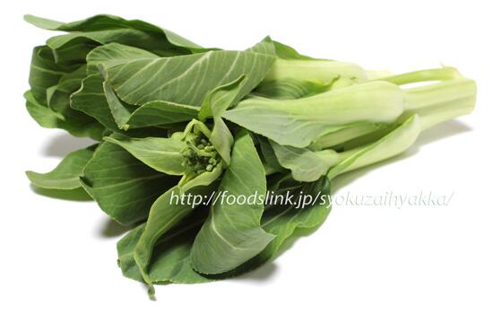 旬の食材百科 更新 青梗菜の菜ばな 青梗菜も実はアブラナ科なので この時期になると菜の花のような花芽 をつけます これを収穫したものがチンゲン菜ばなで す 食材百科に写真と解説を追加しました Http T Co Ovcfm5ewts Http T Co Ihrugzlxj3 旬の食材百科 更新 青梗菜の菜ばな 青梗菜も実はアブラナ科なので この時期になると菜の花のような花芽 をつけます これを収穫したものがチンゲン菜ばなで す 食材百科に写真と解説を追加しました Http T Co Ovcfm5ewts Http T Co Ihrugzlxj3