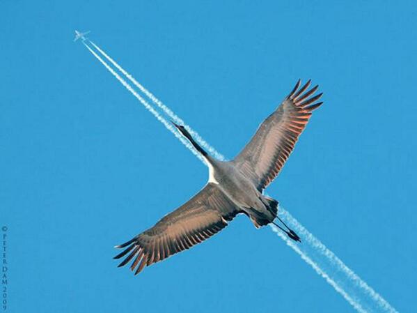 DKCooper2's tweet photo. Photography is also about being at the right place at the right time: http://t.co/M4a82ueRfG