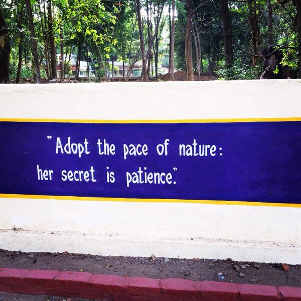 hannahshetler's tweet photo. Be patient...be still...be present #india #kerala #nature http://t.co/UPSTWPlYYX