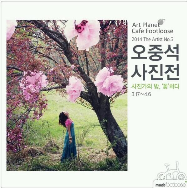 내일부터 3주간 전시합니다. 신사동 카페룻푸스 에서!