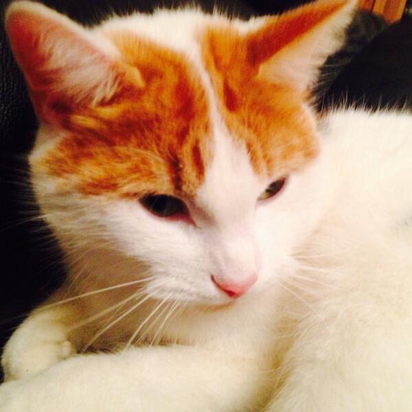 Amy Allen (@amyallen39) on Twitter photo 