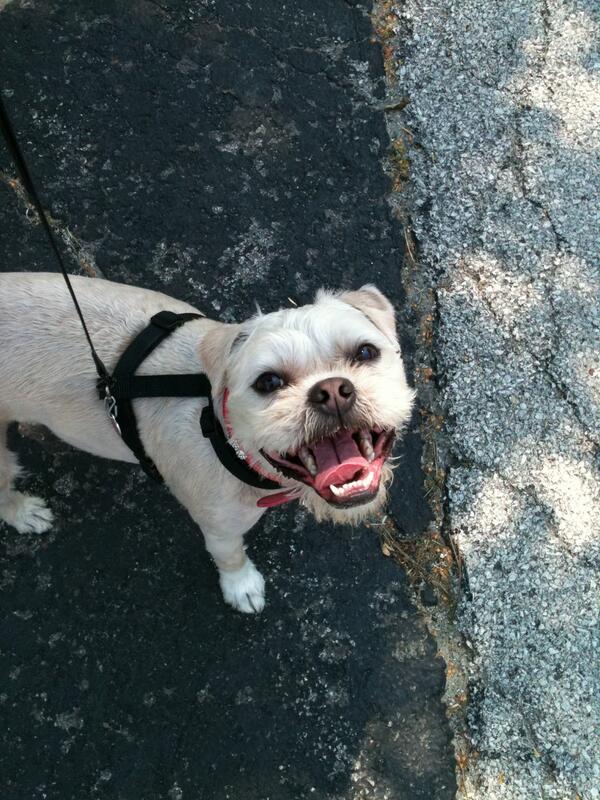 Gracielady's tweet photo. @JennyMcCarthy I know I'm late! http://t.co/KZk7yq1has