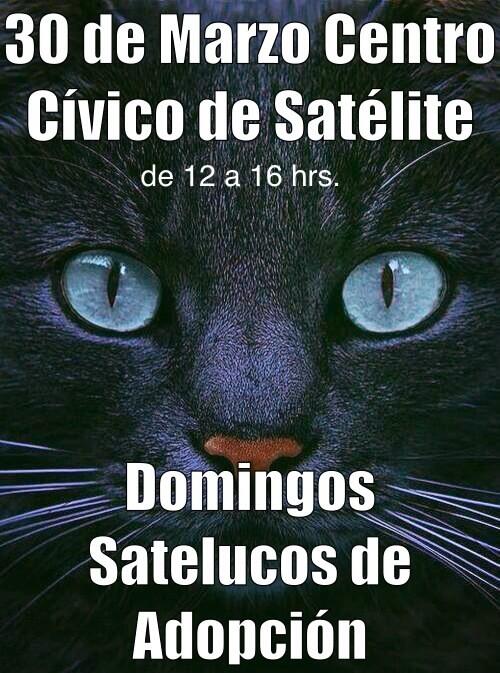 DomingoSateluco's tweet photo. http://t.co/WnoXxs8WRc