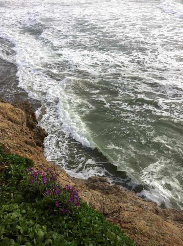 Looking down. #OceanBeach #CliffHouse #SealRocks #PacificOcean #California #Travel #SutroBaths