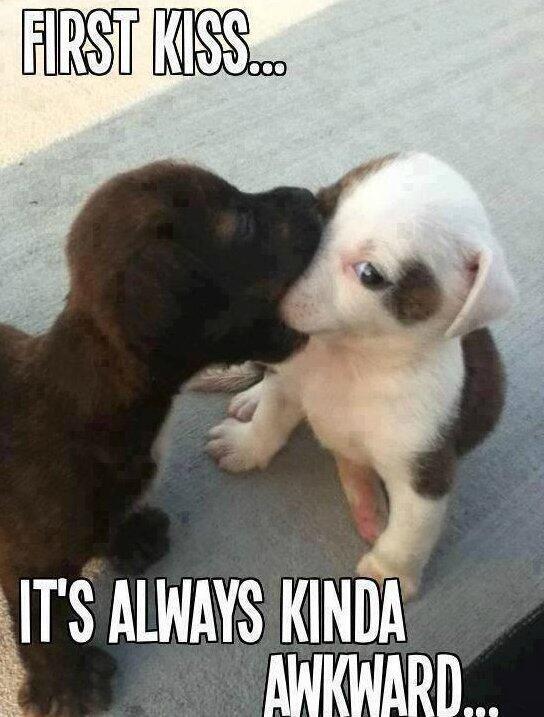 wordarchive's tweet photo. First kiss: http://t.co/V6tiyyHfMG