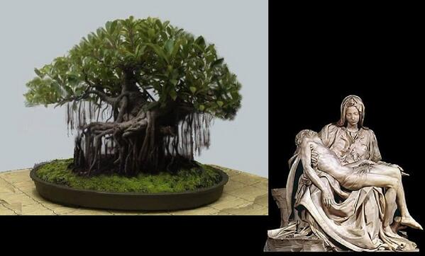Compare a Bonsai tree with art, interesting :) : r/Bonsai