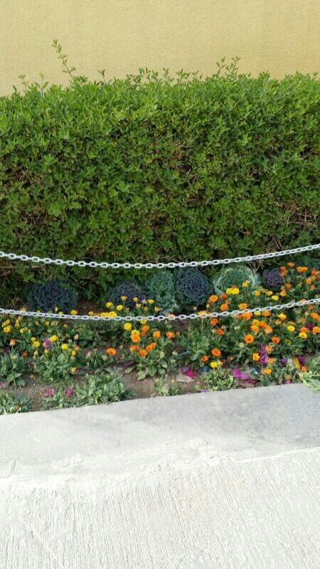 401_400's tweet photo. http://t.co/C3llkfUOuh