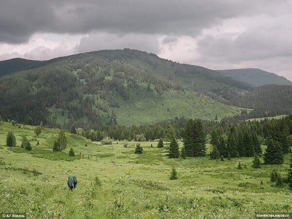 ethnoscience's tweet image. фон блога