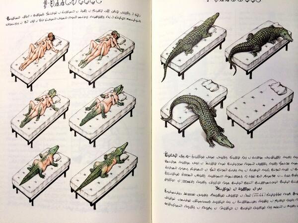 コデックス・セラフィニアヌス、人文科学の章。男女で合体するとワニに