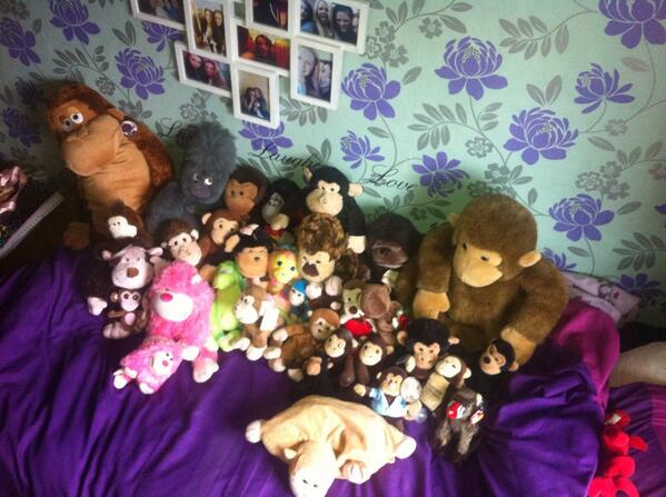 catherineiddon's tweet image. Okay so this is just the monkeys from all my Teddy's ... I can't throw any away :( #ButINeedTo