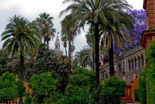 _Paisajes_'s tweet photo. #Soñé con #Sevilla y me enamoré http://t.co/aBD60zyEiK