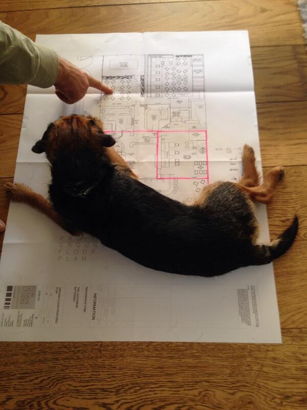 Studying the plans!