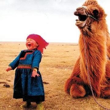 b_wildered's tweet photo. Best photo EVER! http://t.co/h5TAdYRosQ