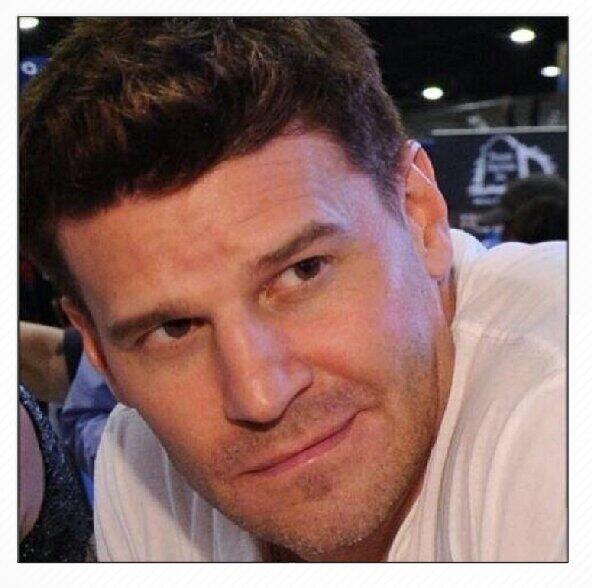 davidboreanazagenteseeleybooth
