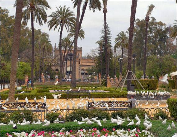 SevillaCultural's tweet photo. #MariaLuisa100años #Sevillahoy http://t.co/tcaX9AM63f