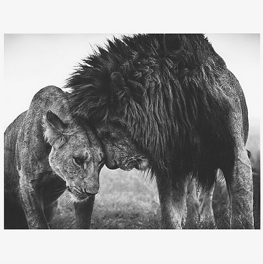 이채린 tweet media