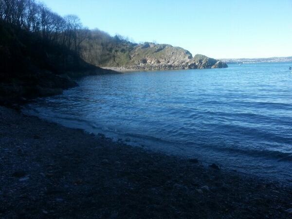 Mike Morey tweet media