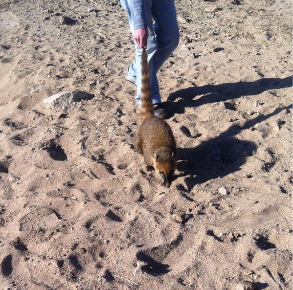 En la playa con los "koati" <a href="/virmoca/">Virginia Moreno</a> <a href="/robode89/">Rocio Bonilla </a>