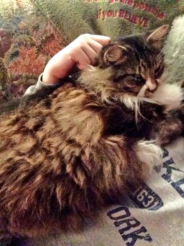 ClickClick_144's tweet image. /This is the face of evil