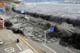 Emileefacts's tweet photo. When Emilee last went for a swim in the sea this was the outcome http://t.co/8H62Pkb8hS