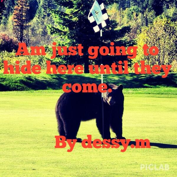 dessy3000's tweet photo. Lol follow me on Instagram dessy3000 http://t.co/wNfoXMsmoD