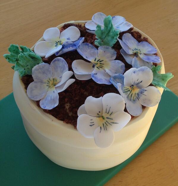 lindencakes's tweet photo. Pot of pansies? :) http://t.co/HfluYQyccp