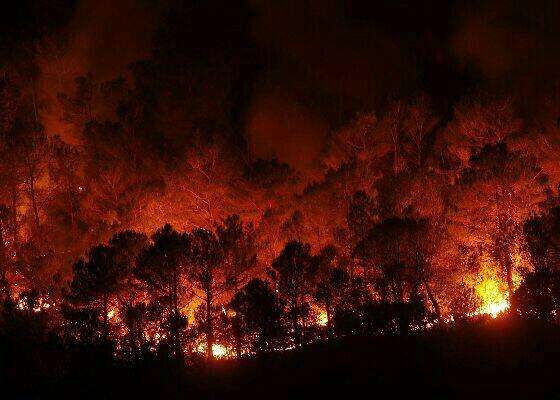 Agents_Rurals's tweet photo. El vent ha afluixat a la zona de l'#IFVall_llobrega. Fotografia feta fa uns minuts des de #PlatjadAro #IIFF http://t.co/TK7xuBHZMd
