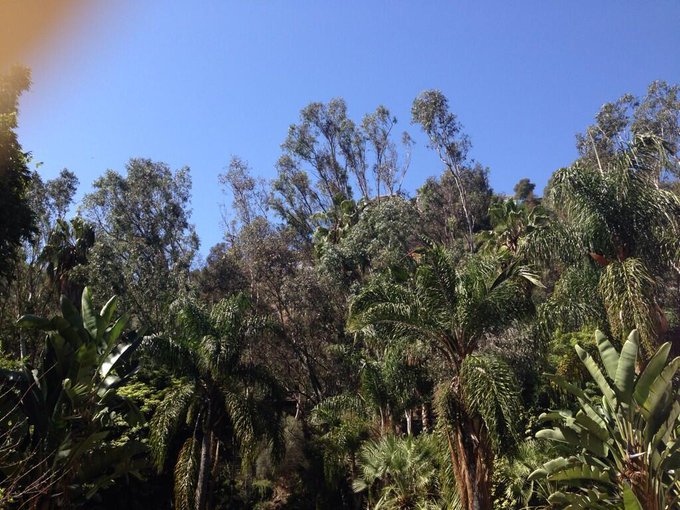 Watch Maryse Mizanin's leaked NSFW photo on TwXstars