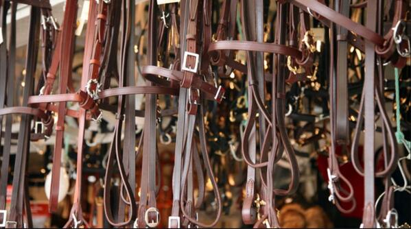 Caledon Fair tweet media