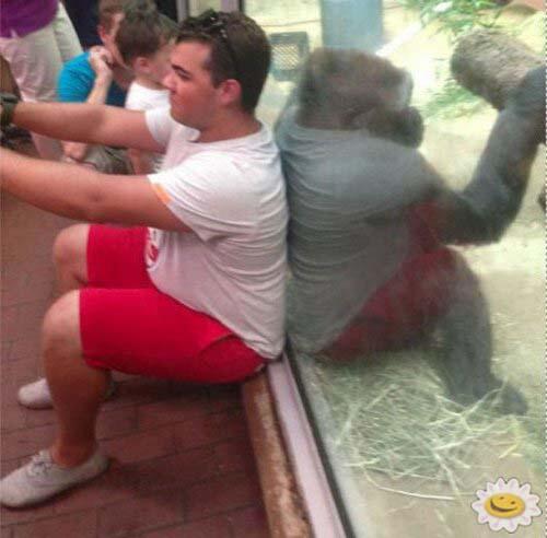 Chuckle_Pics's tweet photo. http://t.co/KG3fESKCLi #BlondeJokes #Fails #Funny #FunnyShortJokes #FunnyTextFails http://t.co/1ExsMcmXuE