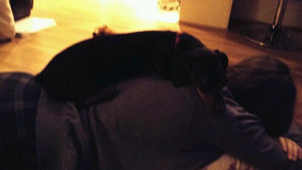 daschundbob's tweet photo. Mummy was lying on the floor...so I lay on her. http://t.co/AZWgC0367S