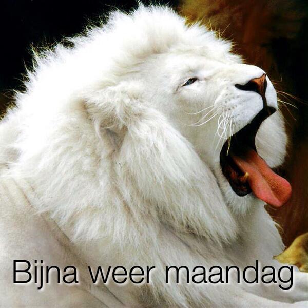 PetLifeMagazine's tweet image. 