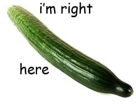 cucumber5eva's tweet photo. @MontahaAna @NemoDulleri @TasniaAMeah @JibsCobbie @MoshtahaM don chat shit http://t.co/u8cpLMomhy