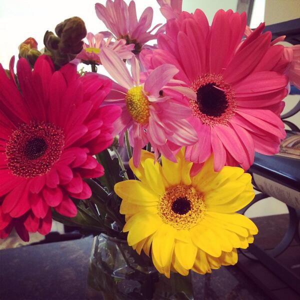 ksimm's tweet image. Cashier: "Who are these flowers for?" Me: "Just me." Cashier: "Why?" Me: "Why not?"