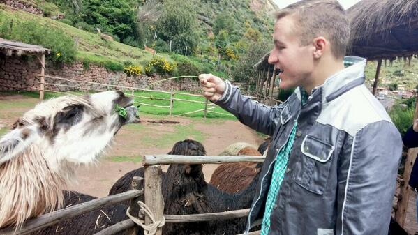 bdgarel's tweet photo. @jarodgarel just a little llama feeding in Peru http://t.co/dUi6mQn8al