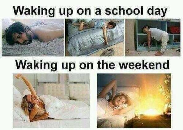 TheComedyHumor's tweet photo. basically http://t.co/EQp30Pb3L4