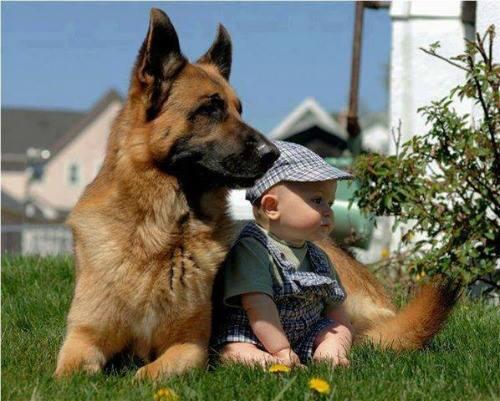GetPoopBuddy's tweet photo. "I've got your back." There is no more perfect, pure love than that between a child and a dog. http://t.co/a11F7cSV5Z