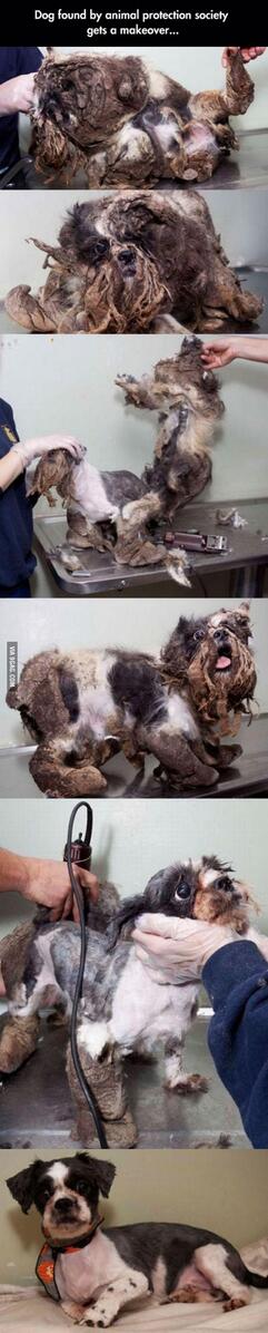 A Passer-by Thought This Was A Pile Of Trash. I’ve Never Seen A More Shocking Transformation.9gag.com/gag/a9dOg2m?re… via <a href="/9GAG/">9GAG ❤️ Memeland</a>