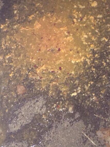 AmphibiousMan's tweet photo. Snackie http://t.co/9KDepff63a