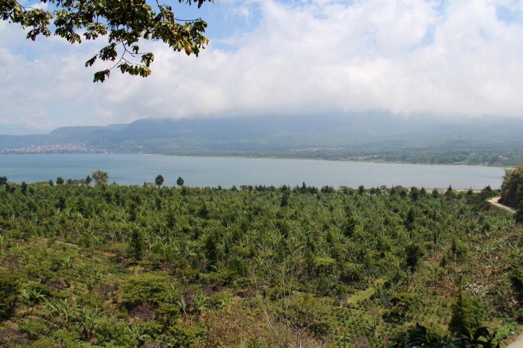 Holy mess! Is this a coffee farm or paradise? #FincaChacaya #Atitlan #Guatemala ^ji http://t.co/PvJKQGbzR5