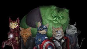 CorvusAZ's tweet photo. Pure Awesomeness! #avengercats #avengers #cats #kittie #captaincat #ironcat #hulkitty #hawkitty #blackwidowcat http://t.co/2zVMfwXVCg