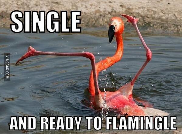 Chelssaidso's tweet photo. I love friends who get me enough to send me things like this... @jennyhaller http://t.co/wgen8SBrxY