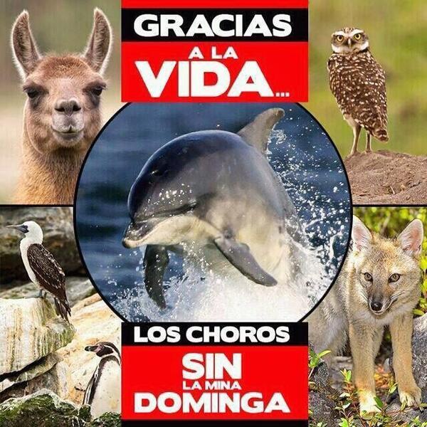 Su_Hidalgo's tweet photo. #NoALaMineraDominga @PuntadeChoros http://t.co/uaBWeDhqBV