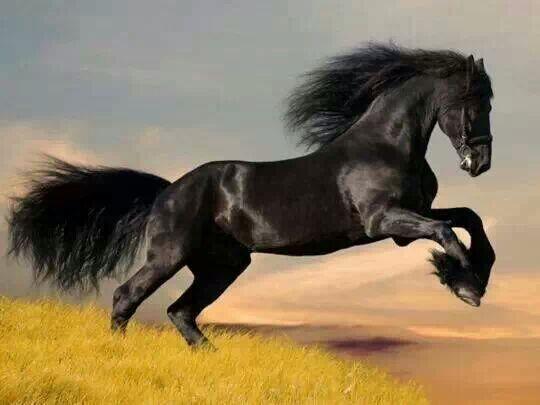 Vamos já perdemos muito tempo